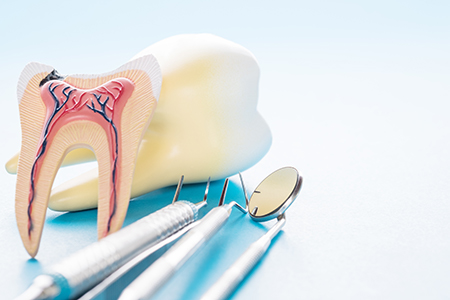 Brian Ciporin, DDS